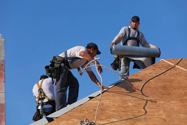 Best Roof Leak Repair  in Kenmore, WA